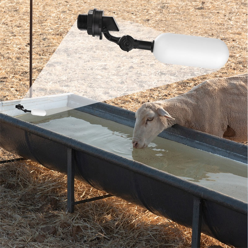 Float Ball Valve Shut off 1/2" 3/4" Automatic Fill Feed tank Water Tank Floating Ball Valve